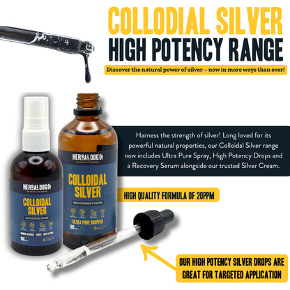 Colloidal Silver Drops: Cultivating Inner Radiance & Balance 100ml
