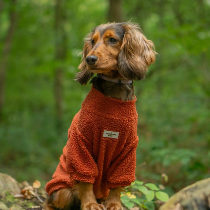 Paw Print Boutique Dog Fleece Burnt Orange