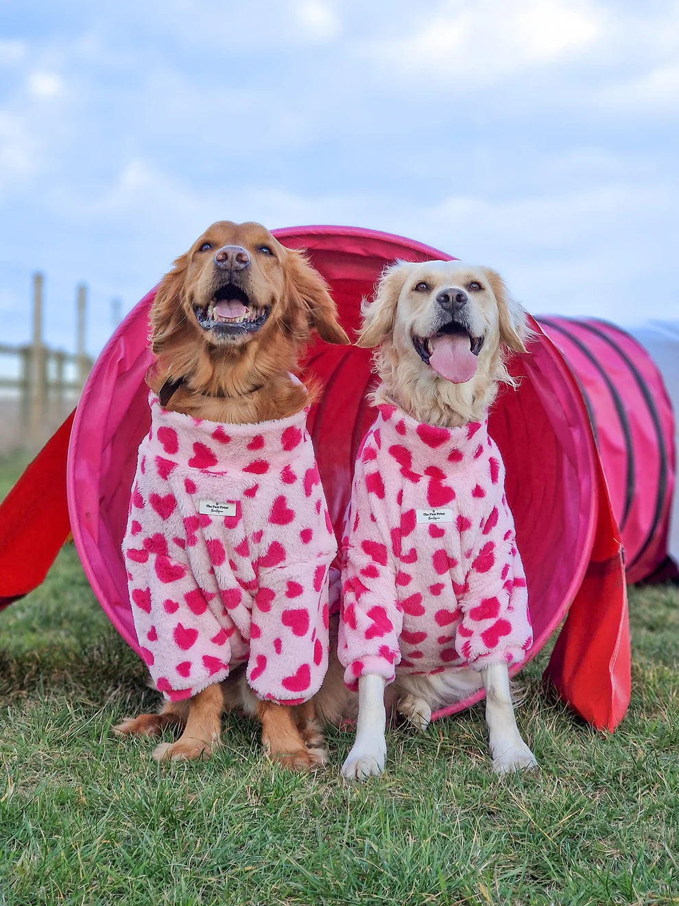 Paw Print Boutique Love Hearts Fluffy & Fabulous Fleece Size