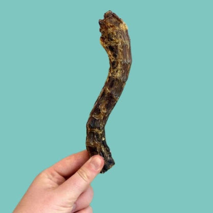 Naturally Air Dried Duck Necks for Dogs