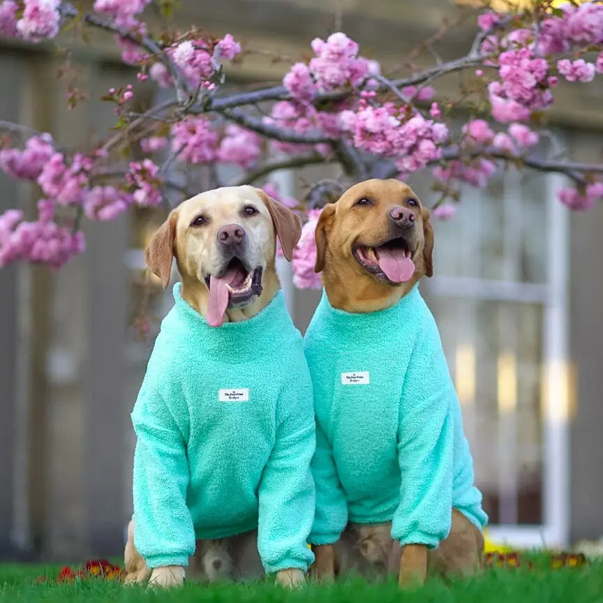 Paw Print Boutique Dog Fleece Mint