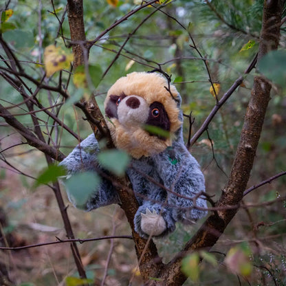 Scout Sloth Eco Friendly Dog Toy