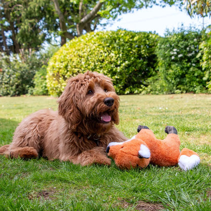 Felicity Fox with Crinkle & Squeaky Dog Toy