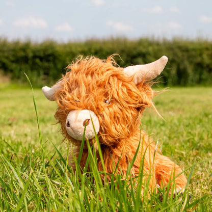 Fergus Highland Cow Dog Toy