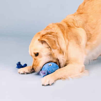 Sting Ray Plush & Rope Tug Dog Toy