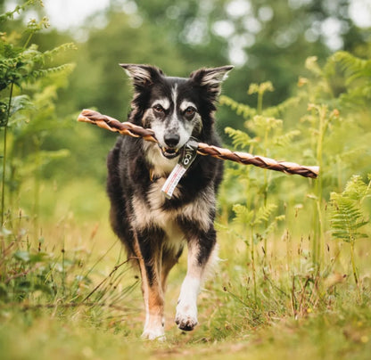 Giant Camel & Beef Braid Chew