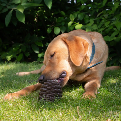 Tuff Stuff Pine Cone Treat Dispensing Dog Toy Tough