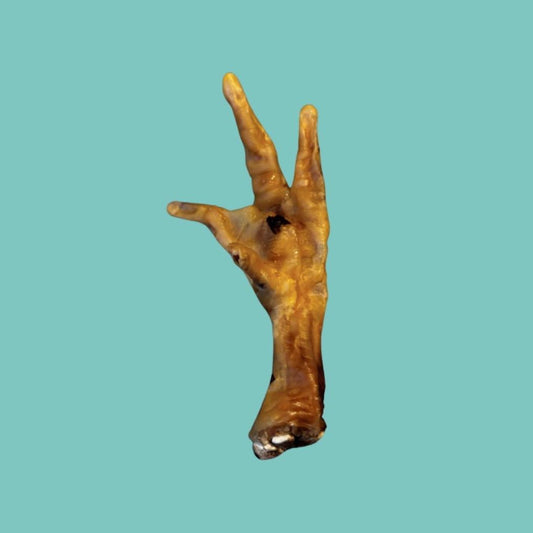 10 Chicken Feet for Dogs and Cats