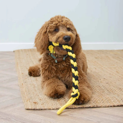 Bumble Bee Giant Twist Dog Tug Toy