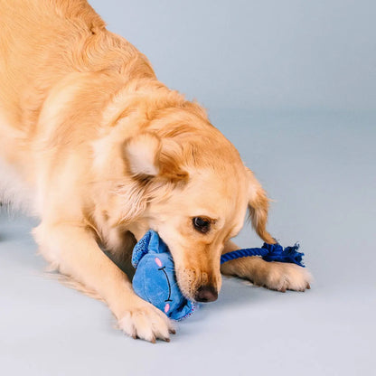 Sting Ray Plush & Rope Tug Dog Toy