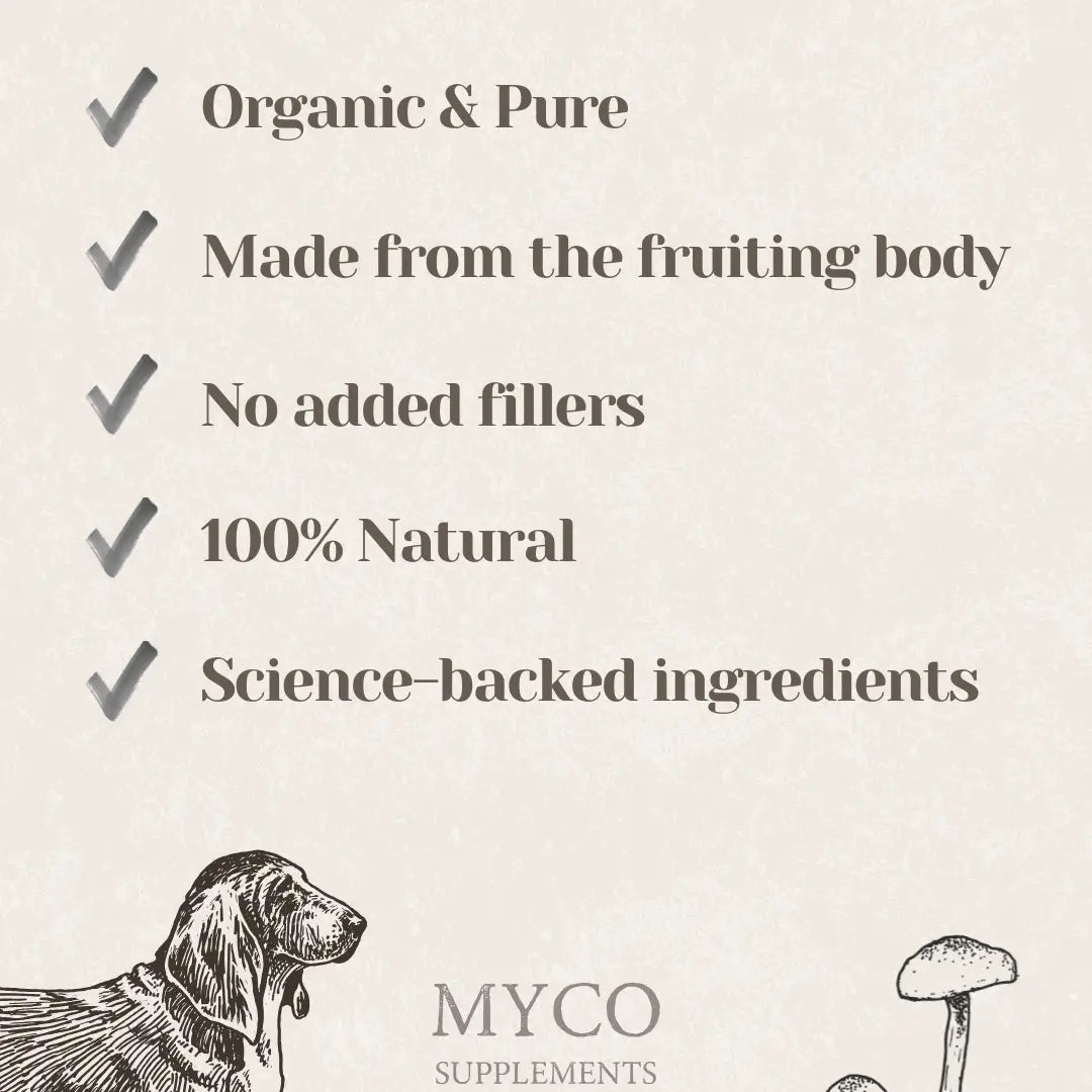 Turkey Tail - Organic Mushroom Immune Support Supplement For Dogs