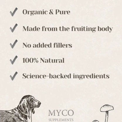 Turkey Tail - Organic Mushroom Immune Support Supplement For Dogs