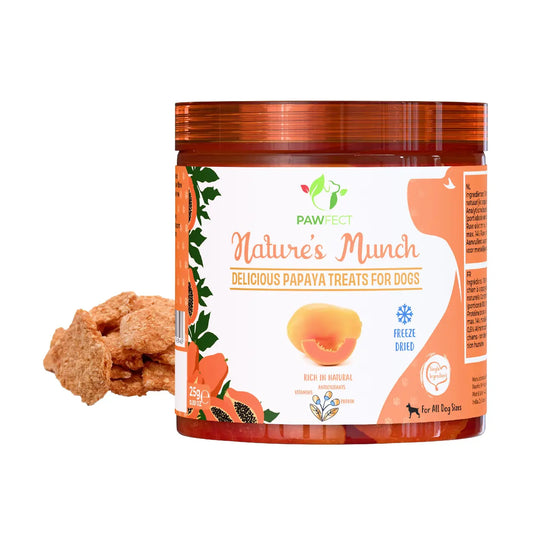 Pawfect Freeze Dried Papaya Treats For Dogs 25g