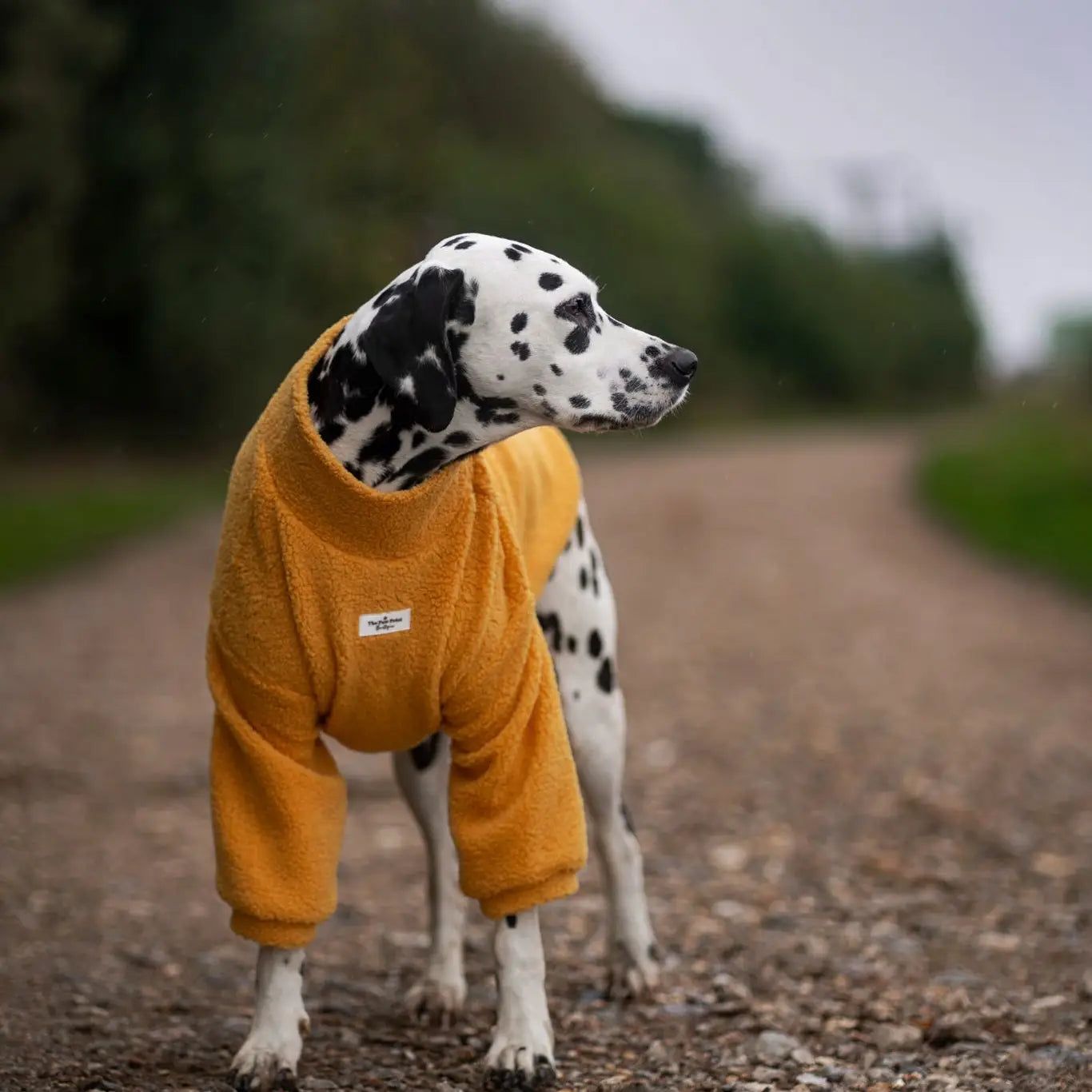 Paw Print Boutique Dog Fleece Mustard 5XL