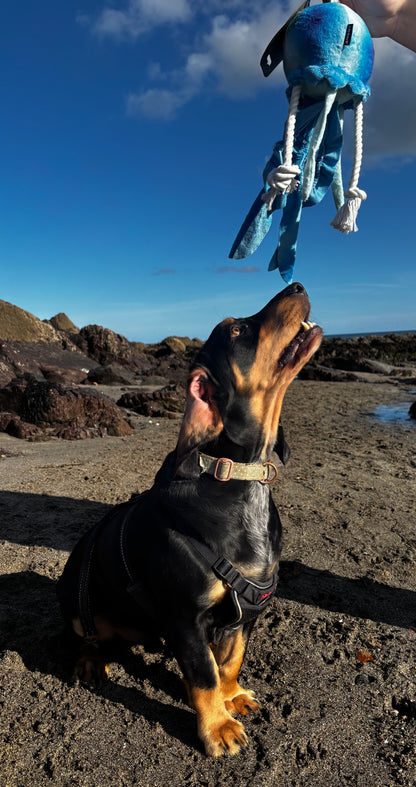 Eco Friendly JellyFish Plush & Rope Squeaky Tug Dog Toy