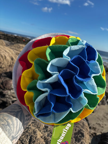 Rainbow Small Petal Snuffle Mat