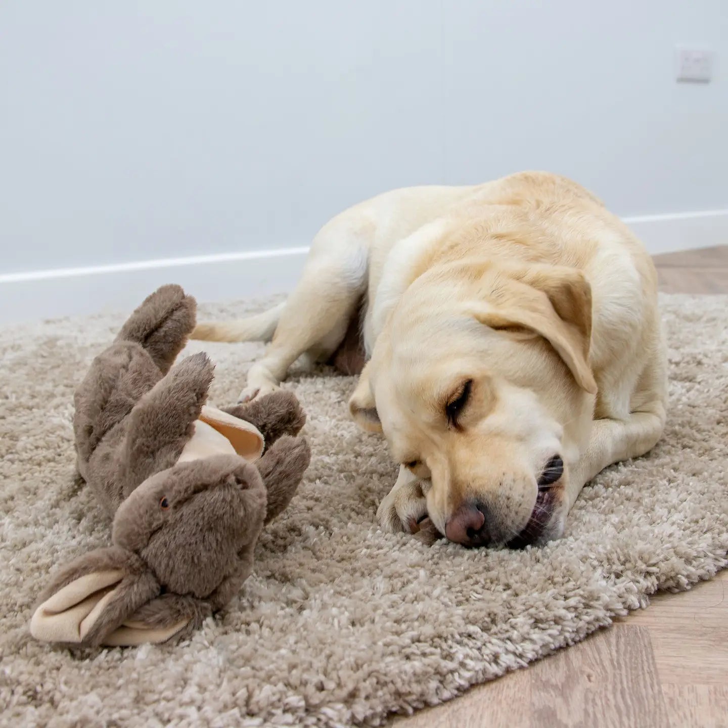Kangaroo & Joey Cuddle & Forage Dog Toy
