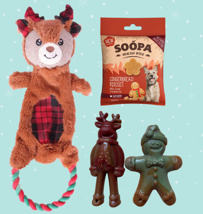 Christmas Toy & Treat Bundle With Christmas Card