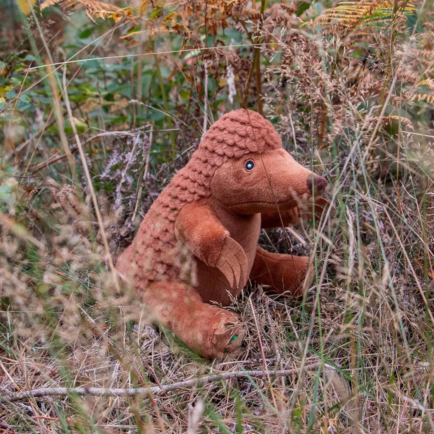 Peter Pangolin Eco Friendly Dog Toy