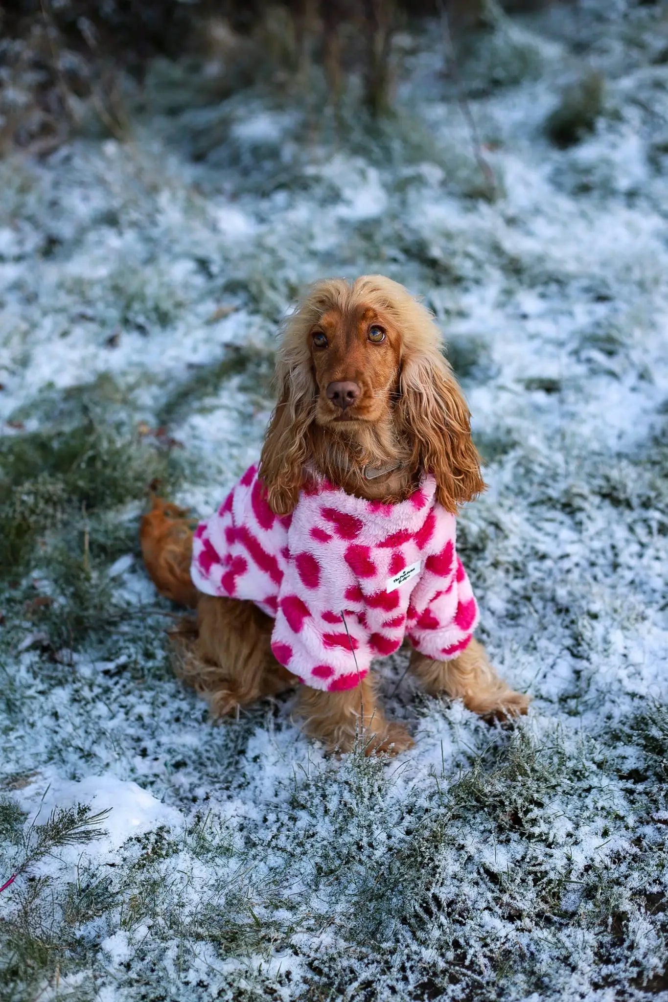 Paw Print Boutique Love Hearts Fluffy & Fabulous Fleece Size