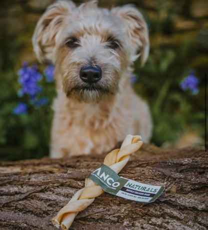 Buffalo Collagen Braid Medium