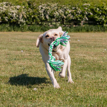 Playtime For Dogs Large Multi-Coloured Rope Dog Tug Toy