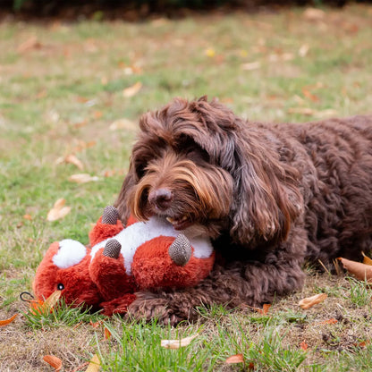Samantha Squirrel Dog Toy with Squeak & Crinkle