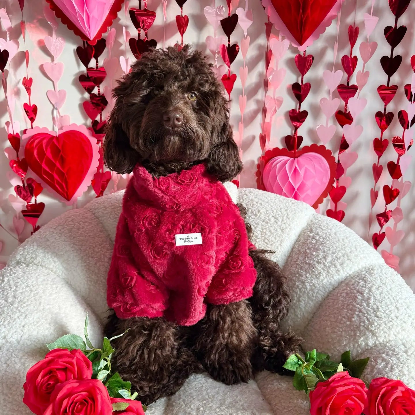 Paw Print Boutique Dog Fleece   The Roses Fleece - Red