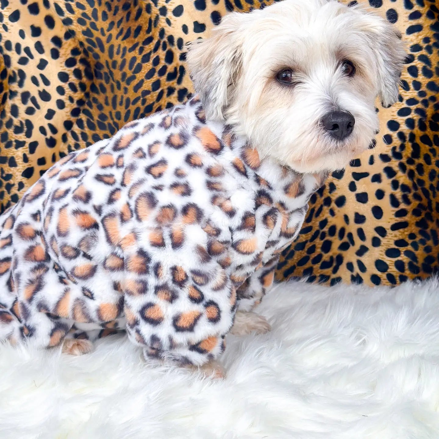 Paw Print Boutique Dog Fleece Fluffy & Fabulous Leopard Print
