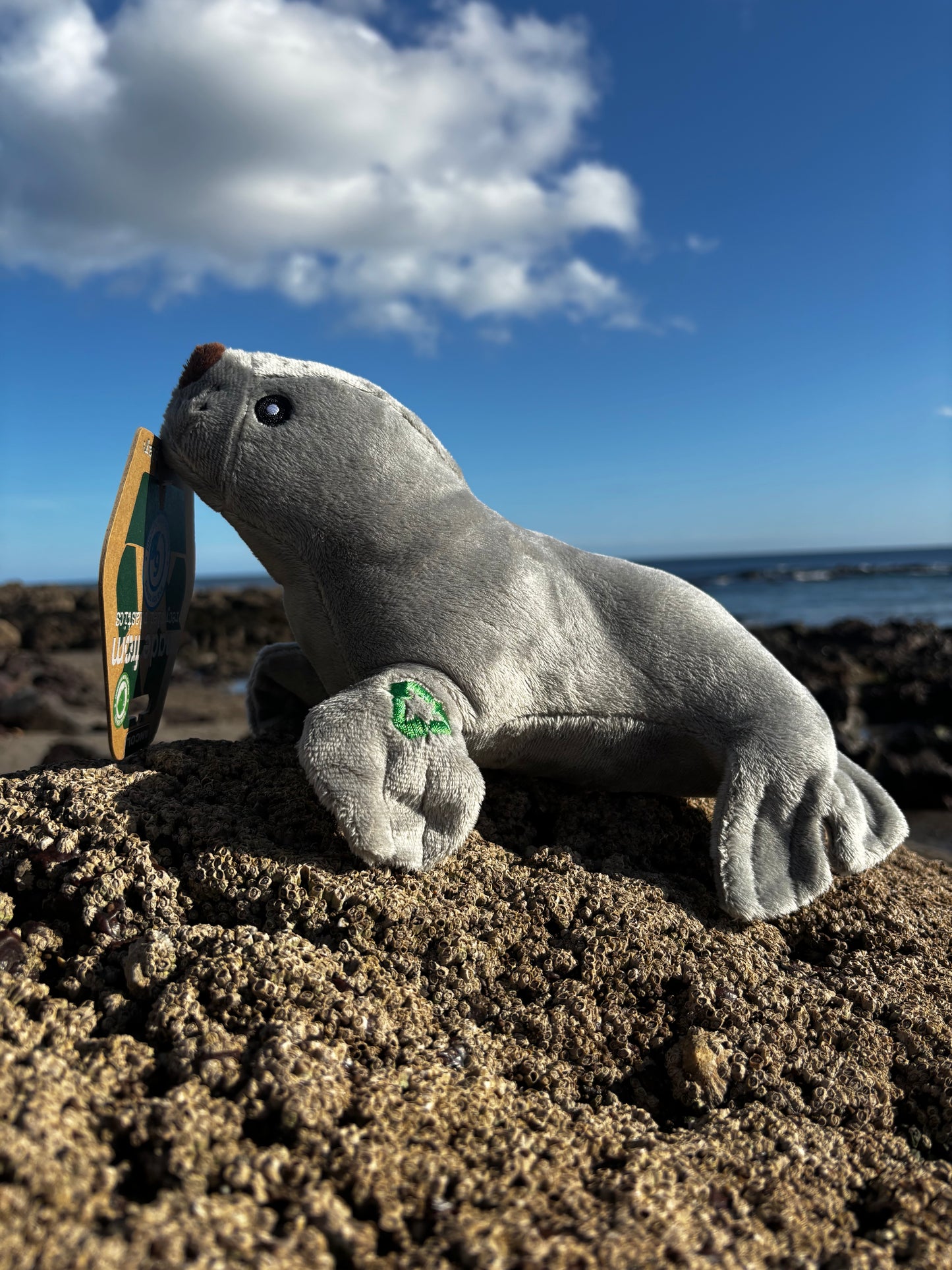 Eco Seal Dog Toy Plush