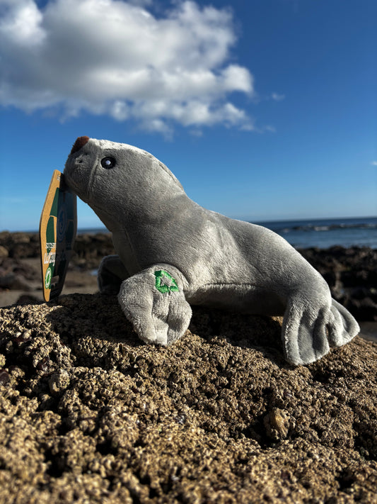 Eco Seal Dog Toy Plush