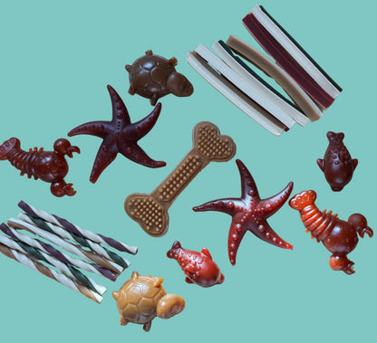 Mixed Fruit & Vegetable Mega Treat Box 21 Item