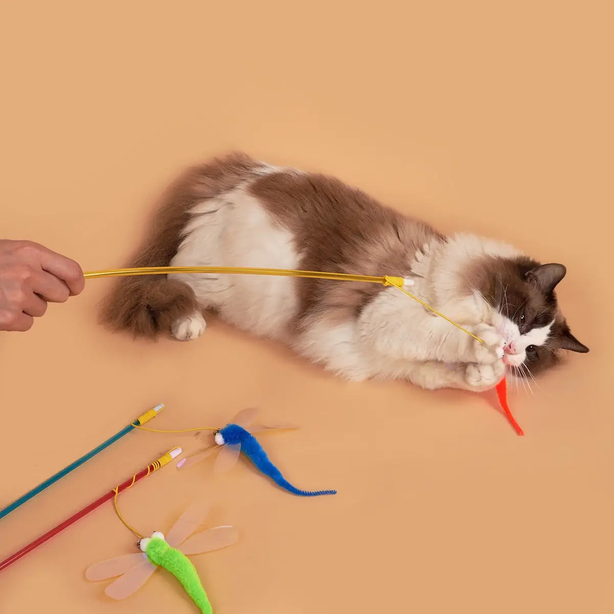 Dragonfly Cat Teaser Toy Orange