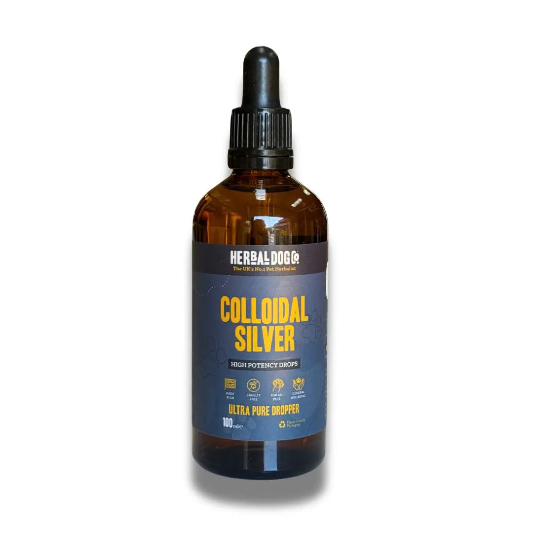 Colloidal Silver Drops: Cultivating Inner Radiance & Balance 100ml