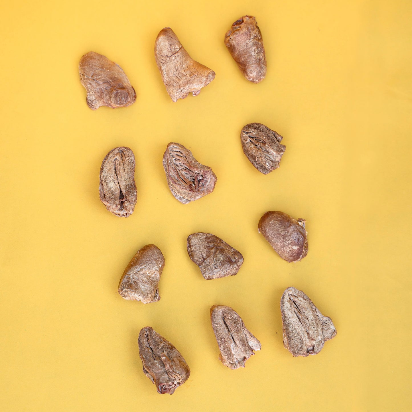 Waita Freeze Dried Chicken Heart 40g For Cats & Dogs
