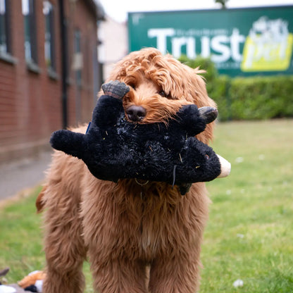 Montgomery Mole Plush Dog Toy With Squeaker