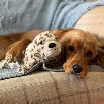 Cuddle Tough Tummies Treat Dispenser Toy - Seal