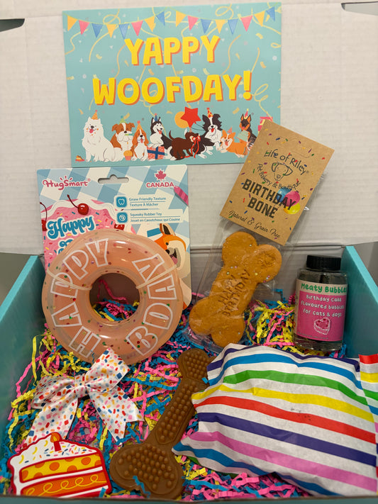 Dog Celebration Birthday Box