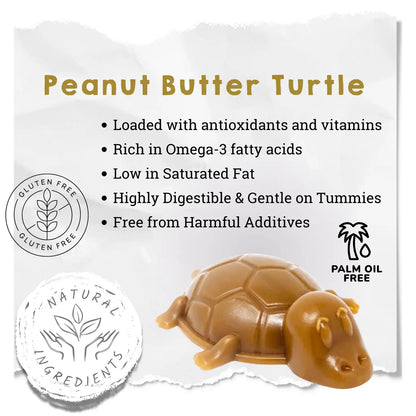 Peanut Butter Natural Dog Treat Turtle Medium