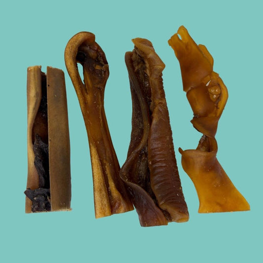100g Camel Skin Treats for Dogs