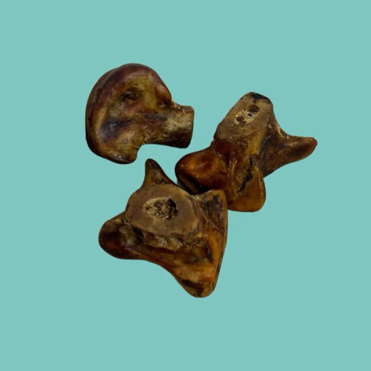 Ostrich Knuckle Bone
