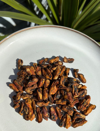 Mussels For Dogs & Cats