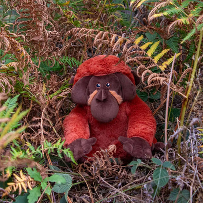 Oswald Orangutan Eco Friendly Dog Toy