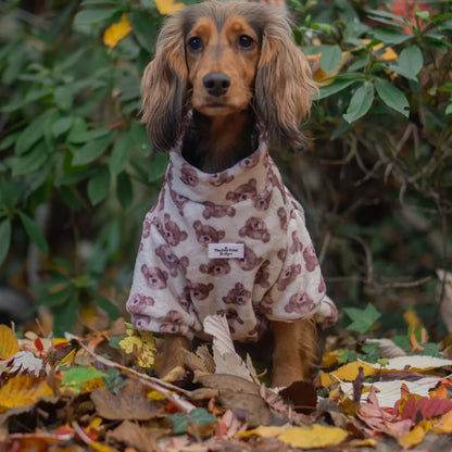 Paw Print Boutique Dog Fleece Teddy Bear 4XL