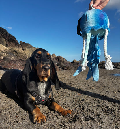 Eco Friendly JellyFish Plush & Rope Squeaky Tug Dog Toy