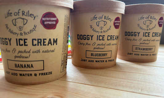 Doggy Ice Cream Life Of Riley