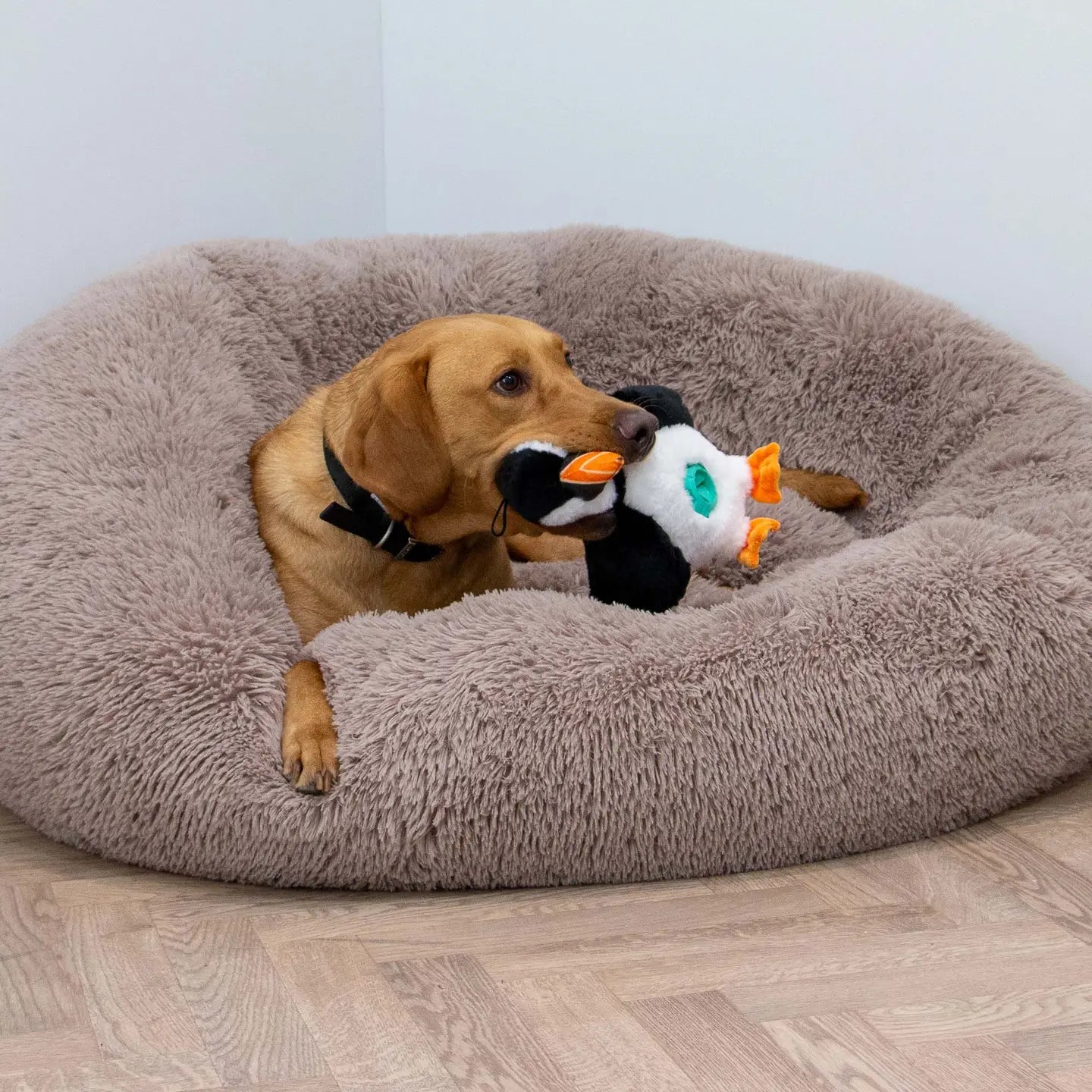 Puffin Tough Tummy Treat Dispenser Dog Toy