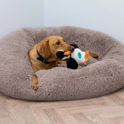 Puffin Tough Tummy Treat Dispenser Dog Toy