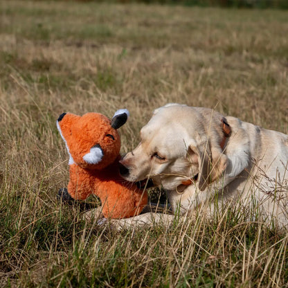 Felicity Fox with Crinkle & Squeaky Dog Toy