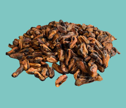 Mussels For Dogs & Cats